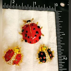 Red and Black Ladybug Brooch Set